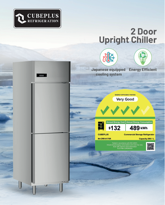CUBEPLUS 2 Door Upright Freezer – 6175R